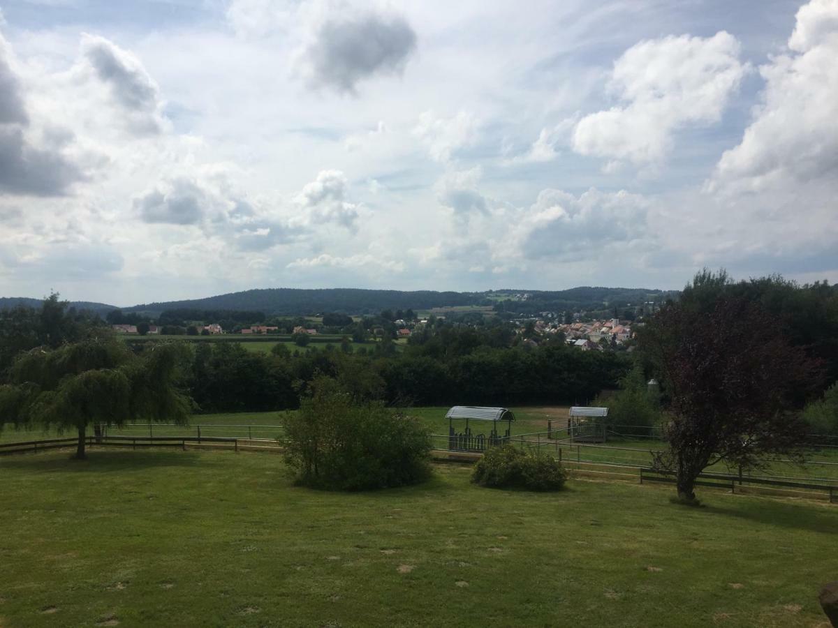 Schönsee Pension Berghof المظهر الخارجي الصورة